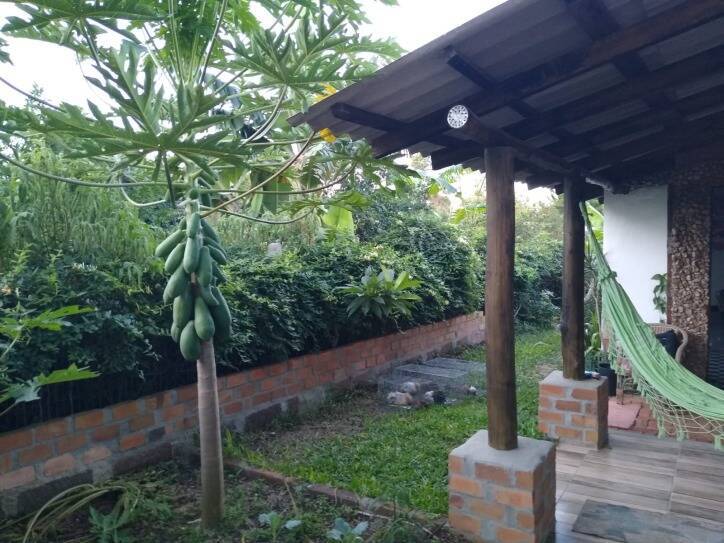 Fazenda à venda com 3 quartos, 110m² - Foto 26