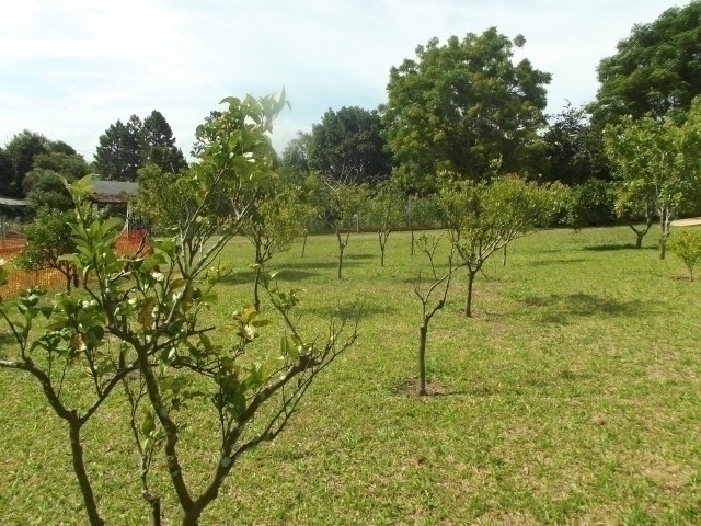 Casa à venda com 2 quartos, 100m² - Foto 7