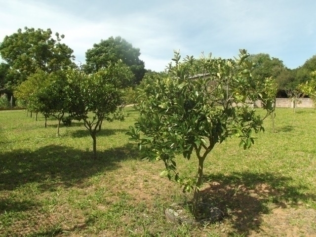 Casa à venda com 2 quartos, 100m² - Foto 9