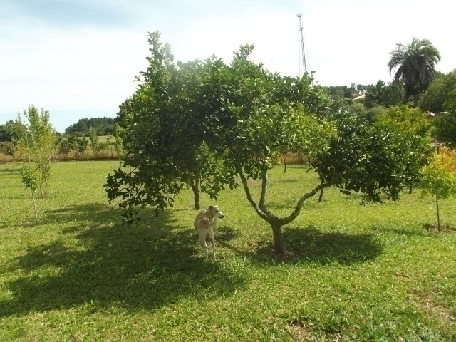 Casa à venda com 2 quartos, 100m² - Foto 3