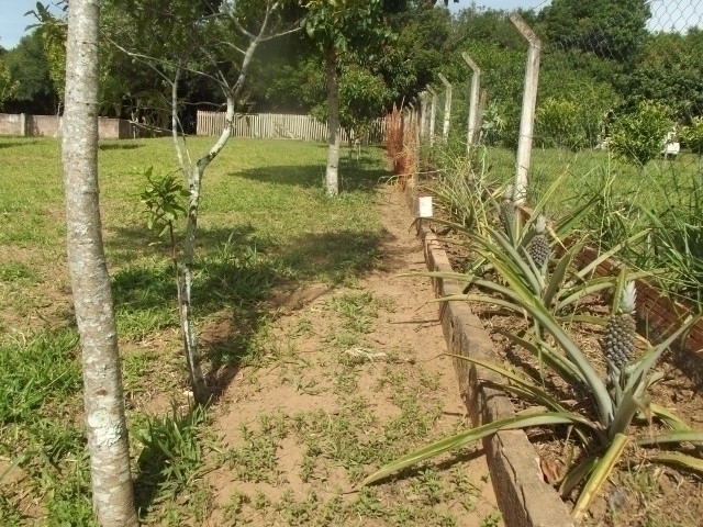 Casa à venda com 2 quartos, 100m² - Foto 8