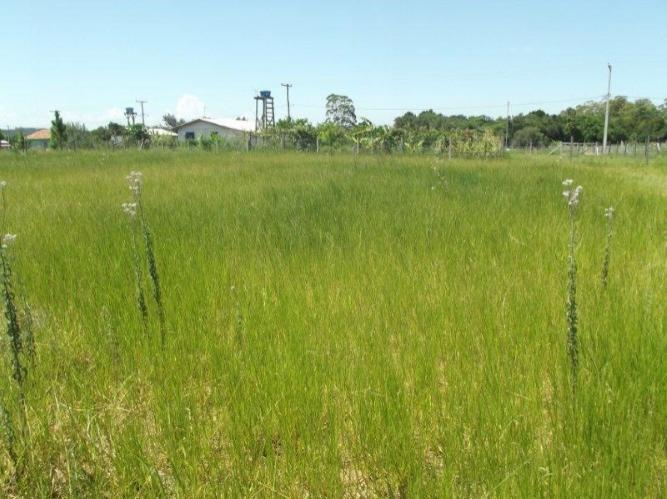 Terreno à venda, 300m² - Foto 10