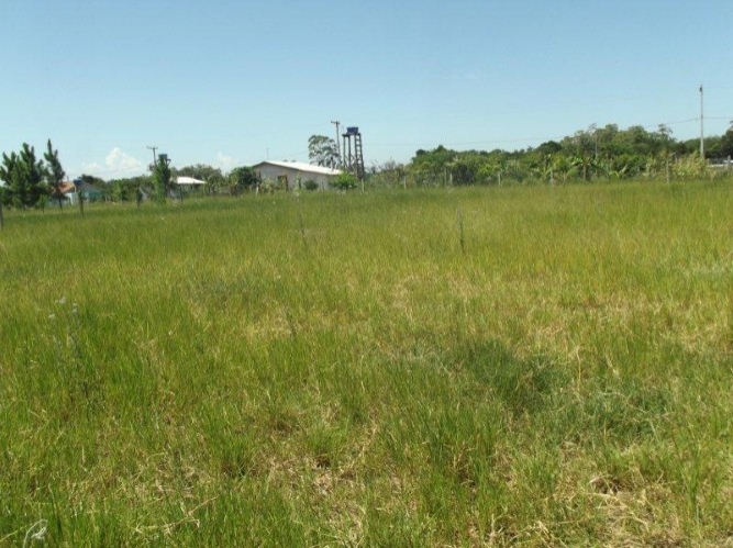 Terreno à venda, 300m² - Foto 3