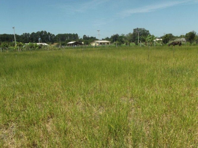 Terreno à venda, 300m² - Foto 5