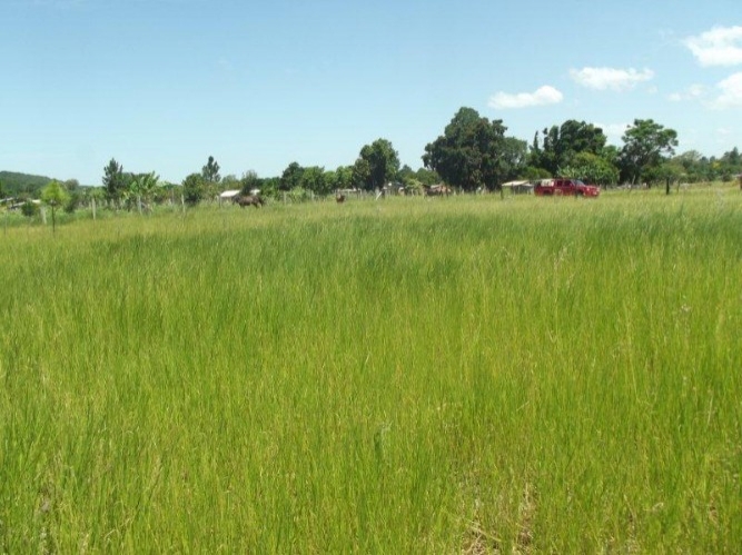 Terreno à venda, 300m² - Foto 6