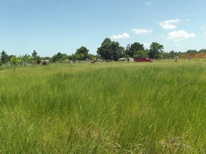 Terreno à venda, 300m² - Foto 7