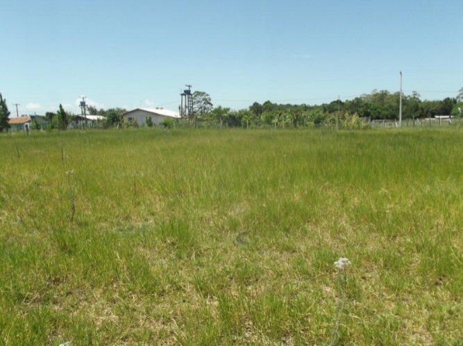 Terreno à venda, 300m² - Foto 2