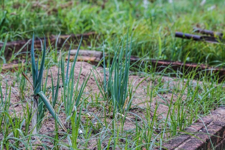 Terreno à venda, 2m² - Foto 18