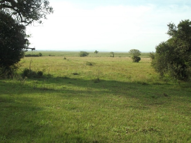 Terreno à venda, 8m² - Foto 14