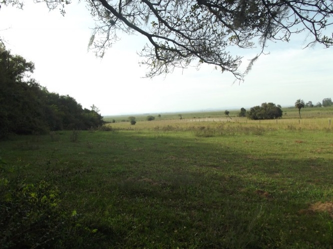 Terreno à venda, 8m² - Foto 19