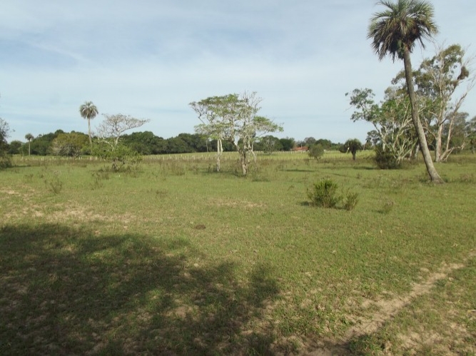 Terreno à venda, 8m² - Foto 3