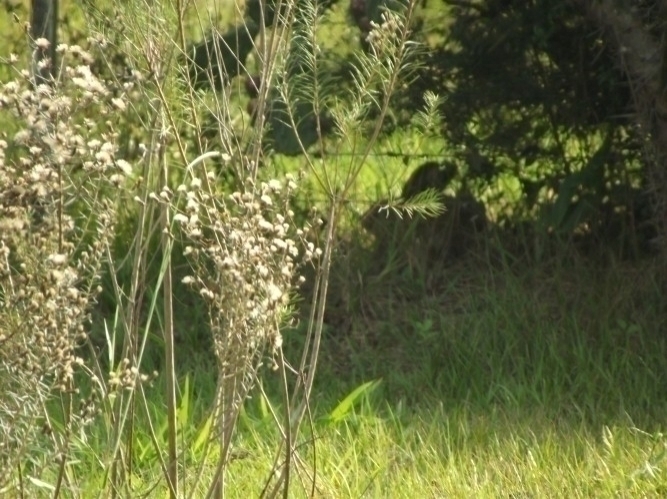 Terreno à venda, 8m² - Foto 12