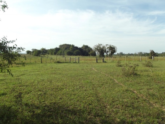 Terreno à venda, 8m² - Foto 4