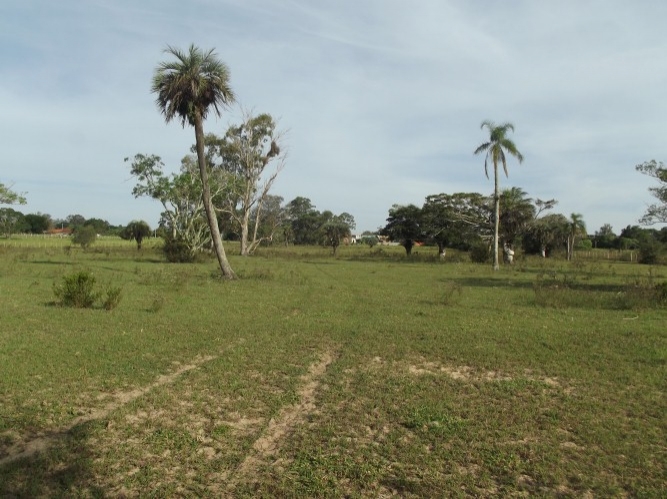 Terreno à venda, 8m² - Foto 2