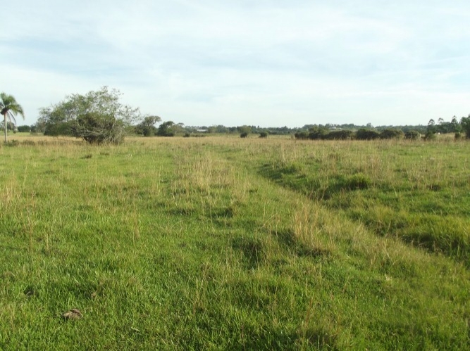 Terreno à venda, 8m² - Foto 11