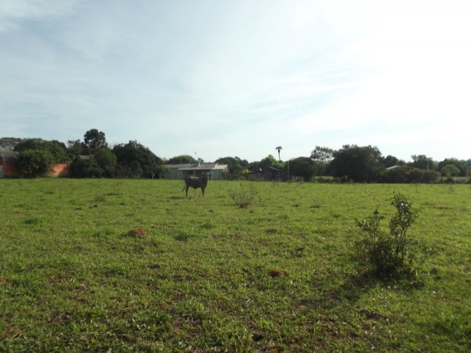 Terreno à venda, 8m² - Foto 1