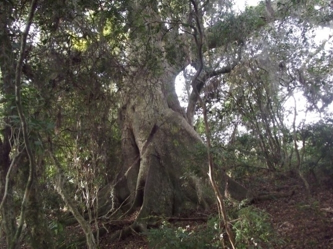 Terreno à venda, 8m² - Foto 16