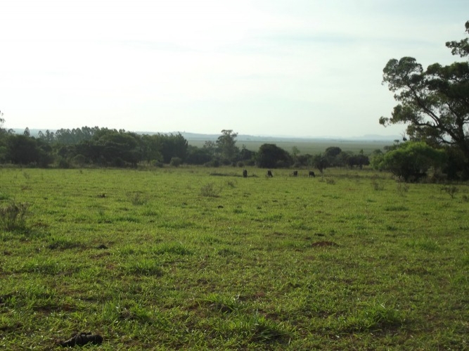 Terreno à venda, 8m² - Foto 22