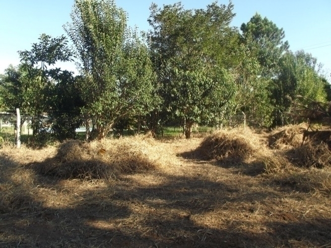 Terreno à venda, 600m² - Foto 6