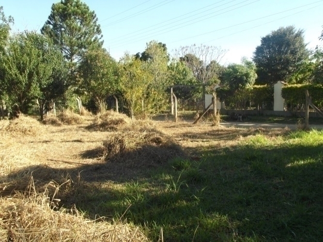 Terreno à venda, 600m² - Foto 8