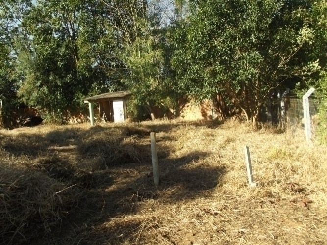 Terreno à venda, 600m² - Foto 3