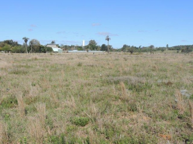 Terreno à venda, 1000m² - Foto 11