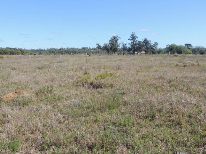 Terreno à venda, 1000m² - Foto 6