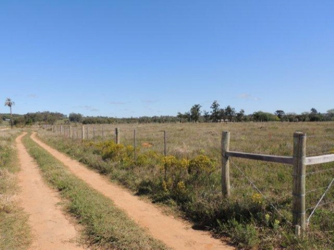 Terreno à venda, 1000m² - Foto 2