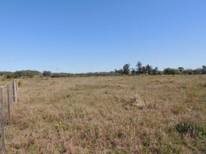 Terreno à venda, 1000m² - Foto 5