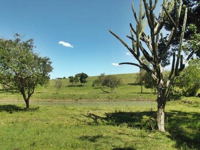 Fazenda à venda com 1 quarto, 50m² - Foto 13