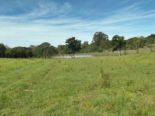 Fazenda à venda com 1 quarto, 50m² - Foto 21