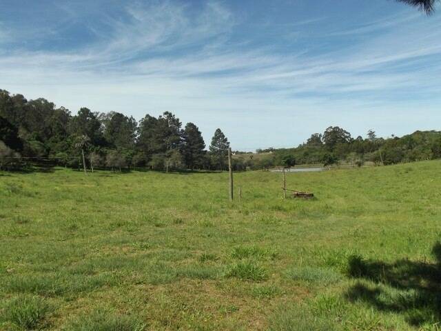 Fazenda à venda com 1 quarto, 50m² - Foto 18