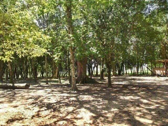 Fazenda à venda com 1 quarto, 50m² - Foto 5