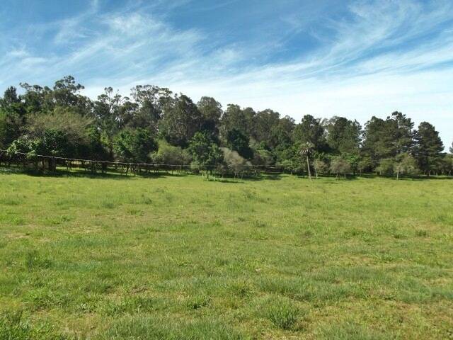 Fazenda à venda com 1 quarto, 50m² - Foto 19