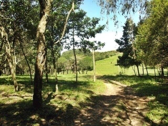 Fazenda à venda com 1 quarto, 50m² - Foto 11