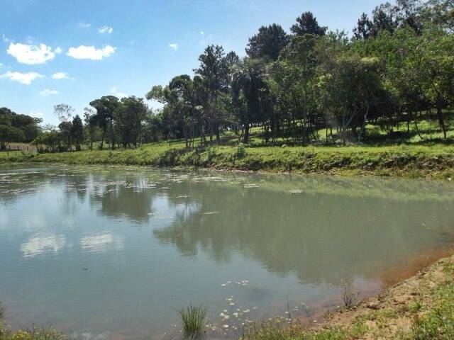 Fazenda à venda com 1 quarto, 50m² - Foto 20