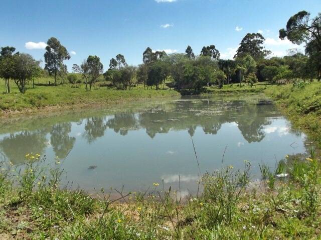 Fazenda à venda com 1 quarto, 50m² - Foto 16