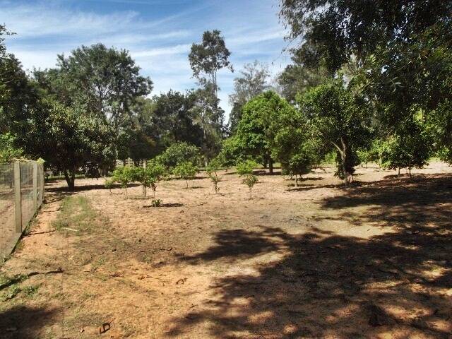 Fazenda à venda com 1 quarto, 50m² - Foto 8