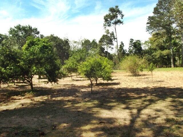 Fazenda à venda com 1 quarto, 50m² - Foto 10