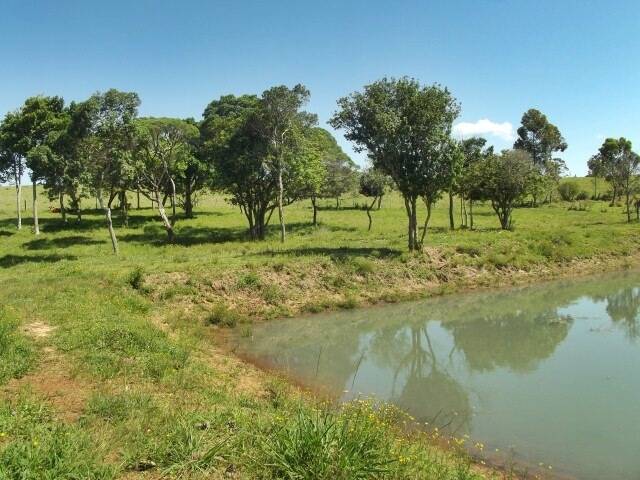 Fazenda à venda com 1 quarto, 50m² - Foto 17