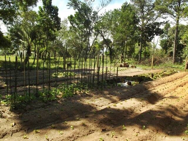 Fazenda à venda com 1 quarto, 50m² - Foto 7