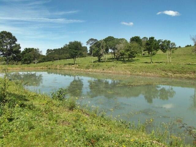 Fazenda à venda com 1 quarto, 50m² - Foto 15