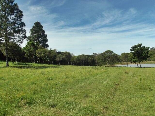 Fazenda à venda com 1 quarto, 50m² - Foto 23