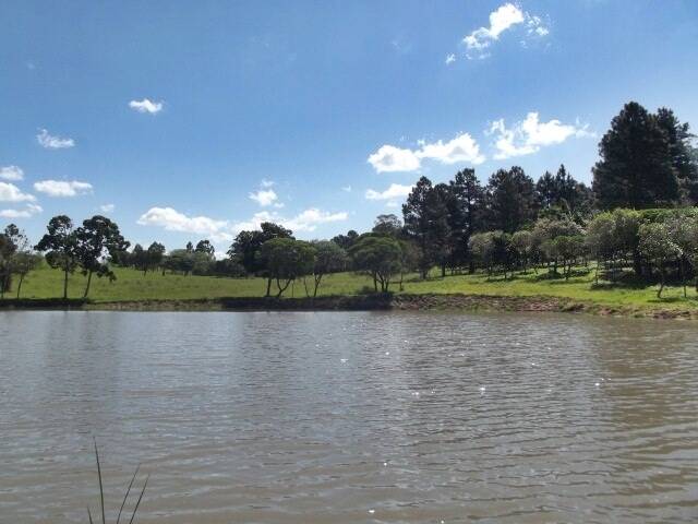 Fazenda à venda com 1 quarto, 50m² - Foto 25