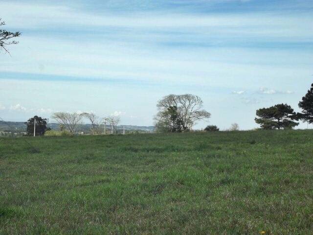 Fazenda à venda com 1 quarto, 50m² - Foto 44