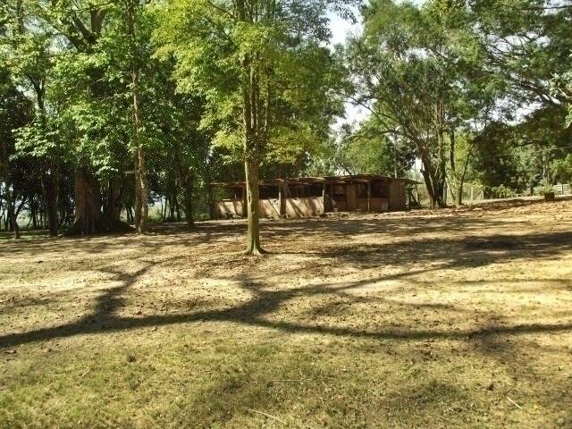 Fazenda à venda com 1 quarto, 50m² - Foto 33