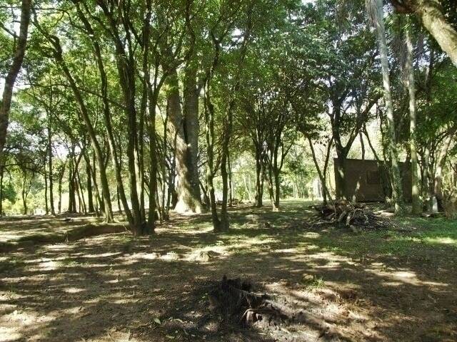 Fazenda à venda com 1 quarto, 50m² - Foto 30