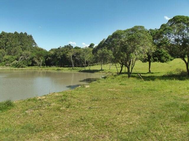 Fazenda à venda com 1 quarto, 50m² - Foto 29