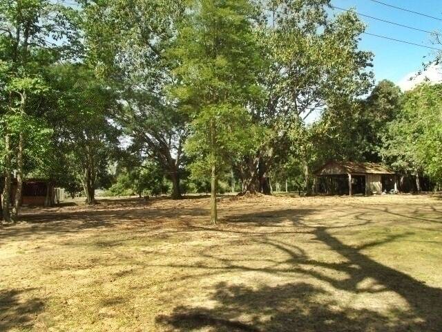 Fazenda à venda com 1 quarto, 50m² - Foto 42