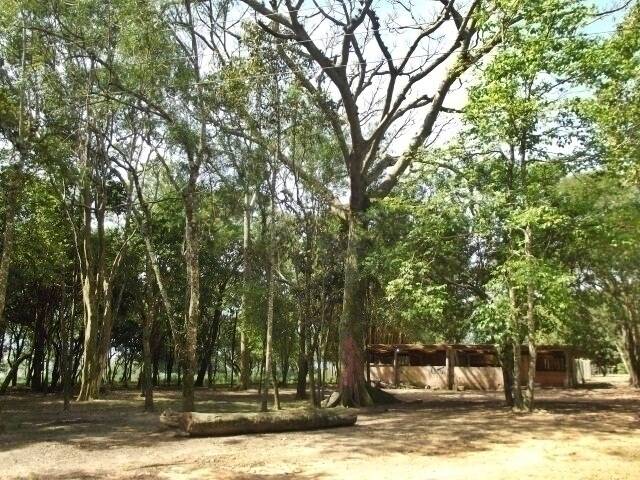 Fazenda à venda com 1 quarto, 50m² - Foto 41